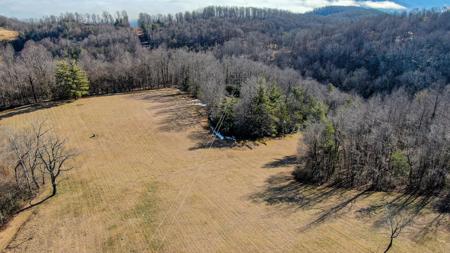 Home with Land for Sale in Floyd VA! - image 3