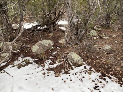 Edgewood, New Mexico Residential 2.5 Acre Lot For Sale - image 9