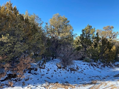 Edgewood, New Mexico Residential 2.5 Acre Lot For Sale - image 2