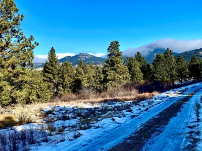 Little Rocky Mountains Acreage/Lot #24 For Sale Landusky, MT - image 5