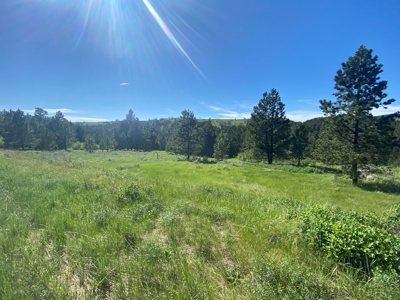 Little Rocky Mountains Acreage/Lot #24 For Sale Landusky, MT - image 9