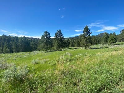 Little Rocky Mountains Acreage/Lot #24 For Sale Landusky, MT - image 10