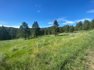 Little Rocky Mountains Acreage/Lot #24 For Sale Landusky, MT - image 7