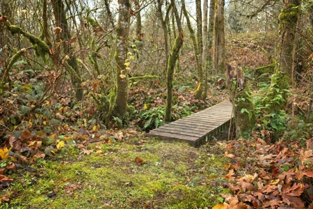 Home on Land For Sale | Battle Ground, Washington - image 4
