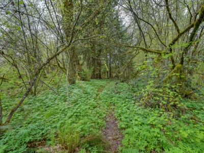 Home on Land For Sale | Battle Ground, Washington - image 46