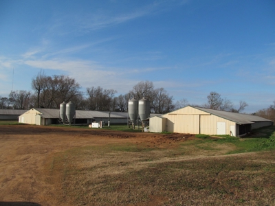 37.5 Acres Pittsburg, Texas - 12 House Poultry Farm - image 3