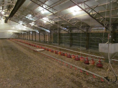 37.5 Acres Pittsburg, Texas - 12 House Poultry Farm - image 21