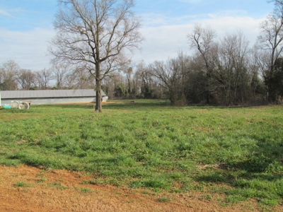 37.5 Acres Pittsburg, Texas - 12 House Poultry Farm - image 16