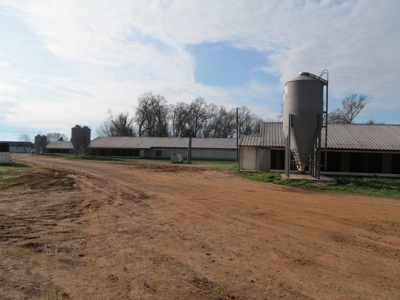 37.5 Acres Pittsburg, Texas - 12 House Poultry Farm - image 14