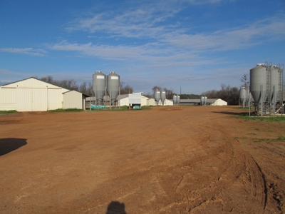 37.5 Acres Pittsburg, Texas - 12 House Poultry Farm - image 13