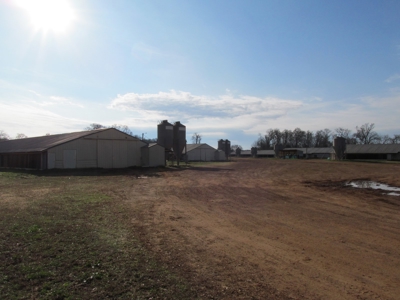 37.5 Acres Pittsburg, Texas - 12 House Poultry Farm - image 4