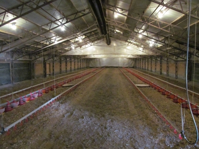 37.5 Acres Pittsburg, Texas - 12 House Poultry Farm - image 9