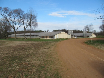37.5 Acres Pittsburg, Texas - 12 House Poultry Farm - image 1