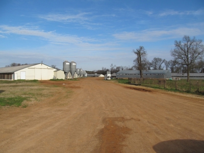 37.5 Acres Pittsburg, Texas - 12 House Poultry Farm - image 18