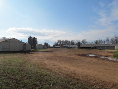 37.5 Acres Pittsburg, Texas - 12 House Poultry Farm - image 5