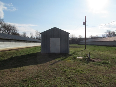 37.5 Acres Pittsburg, Texas - 12 House Poultry Farm - image 10