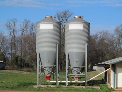 37.5 Acres Pittsburg, Texas - 12 House Poultry Farm - image 6