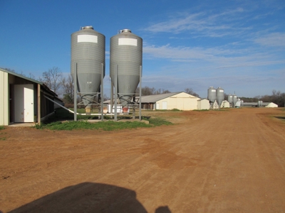 37.5 Acres Pittsburg, Texas - 12 House Poultry Farm - image 15