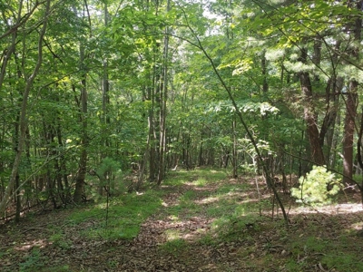 Mountain Land for Sale in Shawsville VA! - image 5
