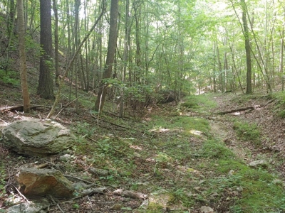Mountain Land for Sale in Shawsville VA! - image 11
