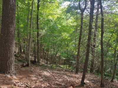 Mountain Land for Sale in Shawsville VA! - image 7