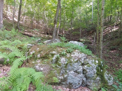 Mountain Land for Sale in Shawsville VA! - image 9
