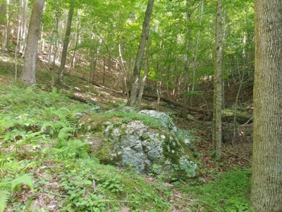 Mountain Land for Sale in Shawsville VA! - image 8