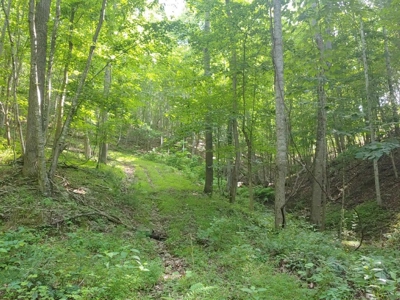 Mountain Land for Sale in Shawsville VA! - image 10