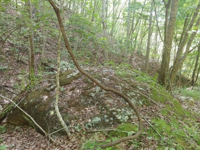 Mountain Land for Sale in Shawsville VA! - image 12