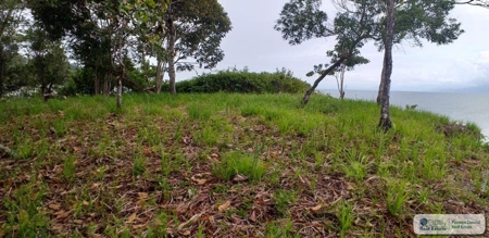 3.76 Hectares For Sale In Popa Island Bocas Del Toro Panama3 - image 8