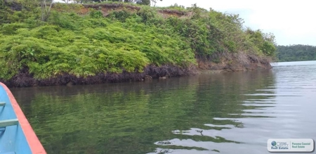 3.76 Hectares For Sale In Popa Island Bocas Del Toro Panama3 - image 1