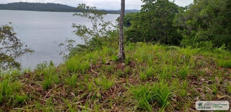 3.76 Hectares For Sale In Popa Island Bocas Del Toro Panama3 - image 2