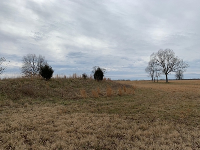 Home on 40 acres for sale Ash Flat, Sharp County, Arkansas - image 48