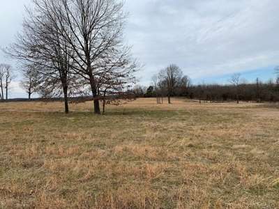 Home on 40 acres for sale Ash Flat, Sharp County, Arkansas - image 45