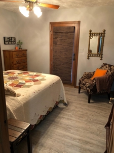 Home on 40 acres for sale Ash Flat, Sharp County, Arkansas - image 10