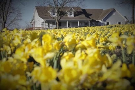 Home on 40 acres for sale Ash Flat, Sharp County, Arkansas - image 1