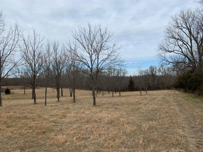 Home on 40 acres for sale Ash Flat, Sharp County, Arkansas - image 43