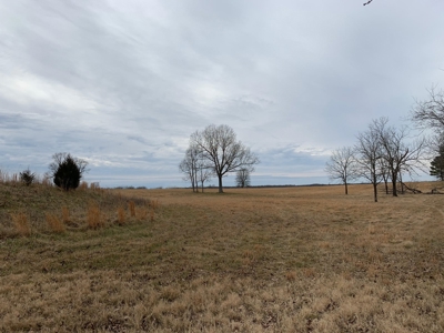 Home on 40 acres for sale Ash Flat, Sharp County, Arkansas - image 47