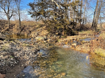 Farm For Sale In Southern Missouri - image 28