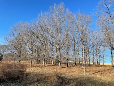 Farm For Sale In Southern Missouri - image 20