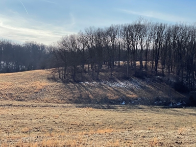 Farm For Sale In Southern Missouri - image 10