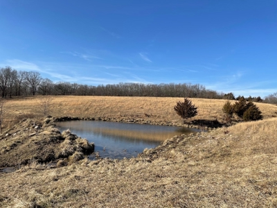 Farm For Sale In Southern Missouri - image 15