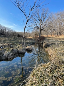 Farm For Sale In Southern Missouri - image 17