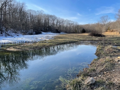 Farm For Sale In Southern Missouri - image 19
