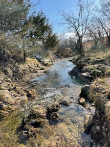 Farm For Sale In Southern Missouri - image 8