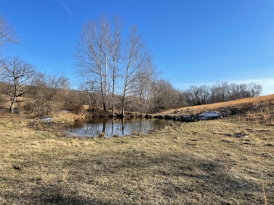Farm For Sale In Southern Missouri - image 26