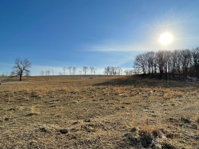Farm For Sale In Southern Missouri - image 23