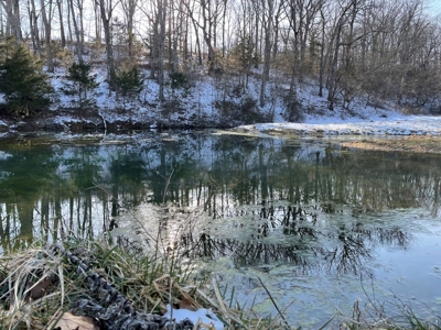 Farm For Sale In Southern Missouri - image 18