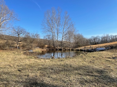 Farm For Sale In Southern Missouri - image 25