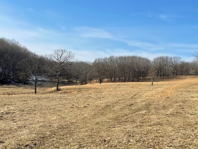 Farm For Sale In Southern Missouri - image 11